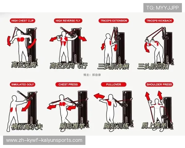 综合版健身器材功能详解及训练效果分析