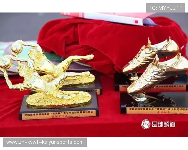 辽宁足球员赛场内外影响力的塑造与发展路径探析